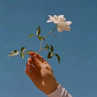 爱江山更爱美人折扣平台下载
